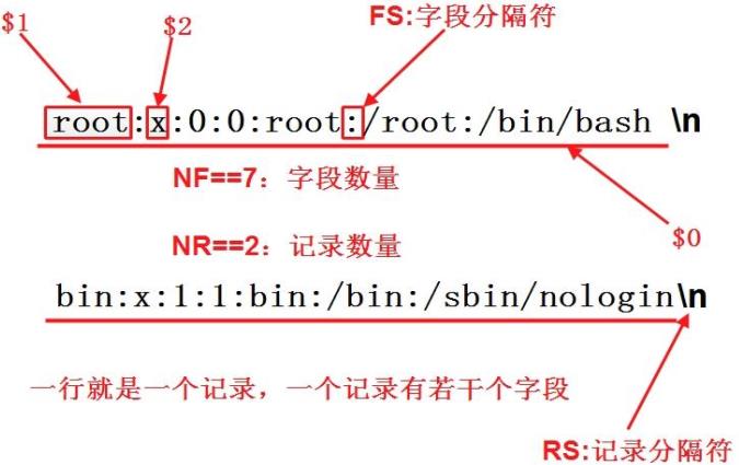 awk分隔符示例